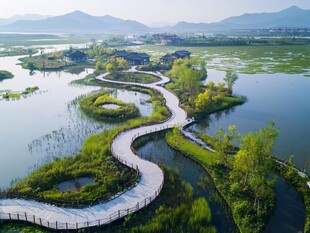 湖畔蜿蜒步道的自然美景