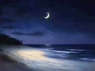 月夜下的静谧海滩