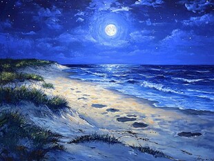 月夜下的静谧海滩美景