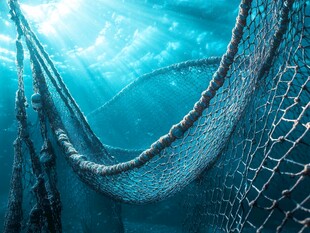 深海中的破旧渔网景象