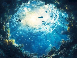 海底光影下的鱼群与珊瑚