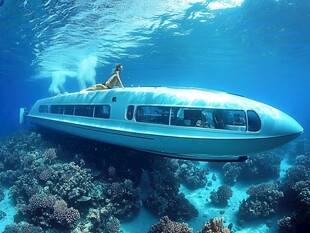 水下观光潜艇中的美丽景象