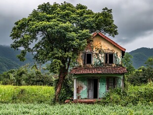 荒野中孤独的破旧小屋