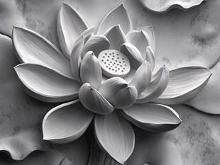 黑白浮雕莲花艺术图景
