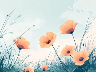 田野间绽放的橙色花朵