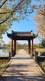湖畔古亭 秋日静谧景致