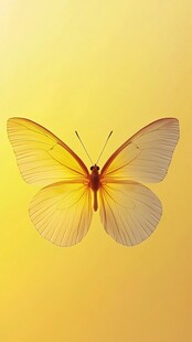 金色蝴蝶展翅于暖黄背景