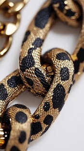 豹纹金链饰品细节特写