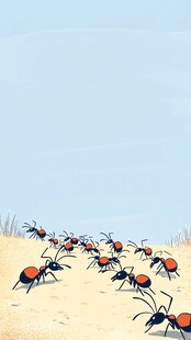 蚂蚁大军在沙漠中行进