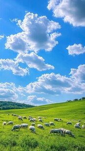 草原牧歌 羊群悠然于绿野