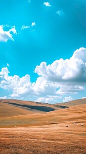 蓝天旷野下的悠然草原风光