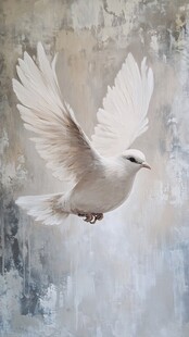 飞翔的白鸽