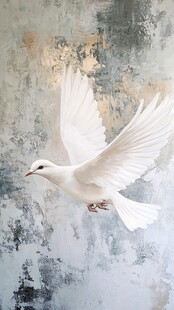 白鸽展翅飞于斑驳背景前