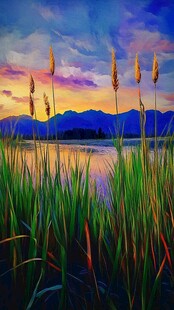 湖畔暮色中的芦苇美景