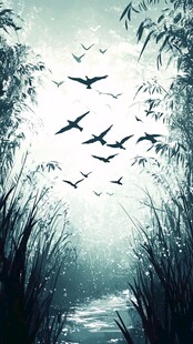 竹林飞鸟图 静谧自然景象