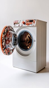 个性花纹洗衣机设计展示