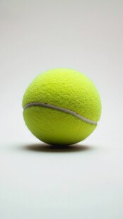 单个黄色网球特写