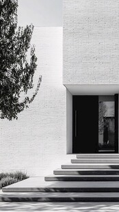 简约白墙建筑前的宁静景致