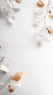 白色背景上的枯叶与枝条