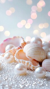 梦幻贝壳与珍珠的浪漫组合