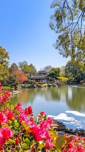 湖畔繁花环绕的中式景致