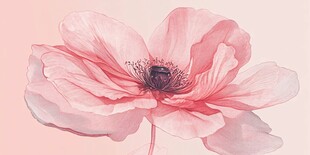 粉色柔美水彩花卉插画