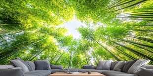 竹林客厅背景 清新自然风