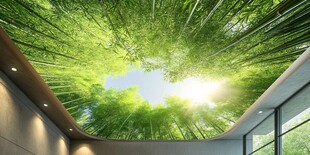 室内竹林天花板创意景观
