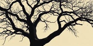 枯树剪影 尽显萧瑟之美