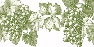 手绘葡萄藤叶装饰图案