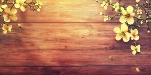 木板上的春日烂漫花朵