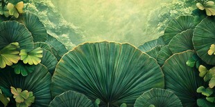 翠绿荷叶的梦幻自然景致