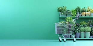 绿植购物车 清新室内景致