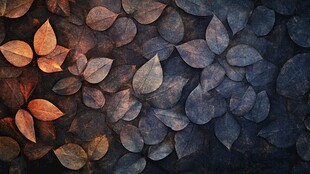 秋叶铺展的静谧之美