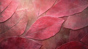 红叶片片铺就梦幻纹理