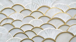 鱼鳞状白色金边纹理图案