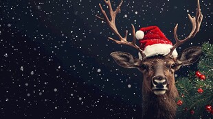 圣诞驯鹿 雪夜中的节日精灵