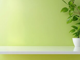 浅绿色墙边的清新绿植