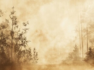 雾中竹林朦胧自然景象