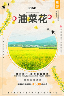 油菜花