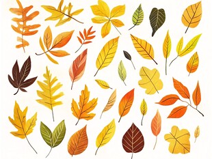 秋日多彩树叶插画集合