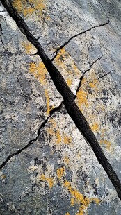 岩石上的裂缝与黄色苔藓