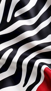 斑马纹布料的独特一角