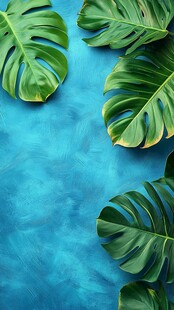 蓝底龟背竹叶清新图