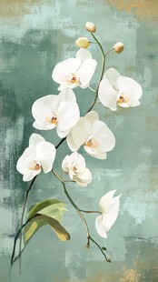 白色兰花优雅姿态画作