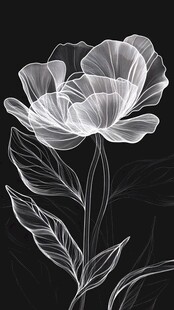 透明线条勾勒的优雅花朵