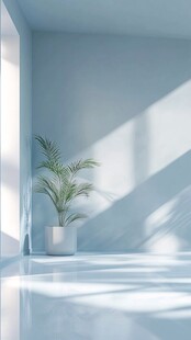 简约室内一角绿植光影