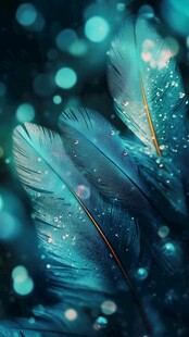 梦幻蓝羽 闪烁灵动之光