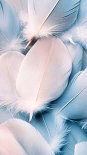 轻柔羽絮 梦幻色彩的邂逅