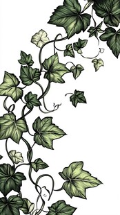 手绘常春藤藤蔓装饰图案